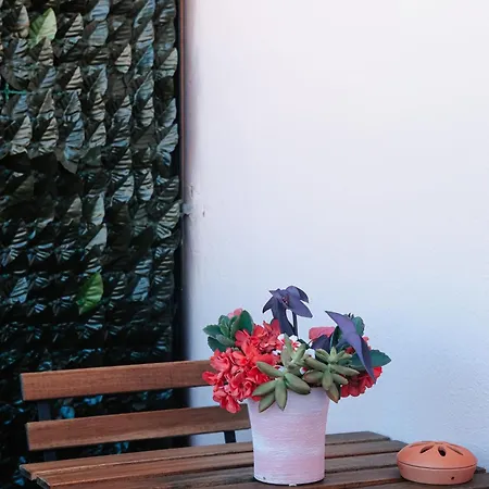Apartment Carmina *